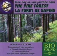  CD/FORET SAPINS SON NATURE