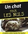 Un chat pour les nuls