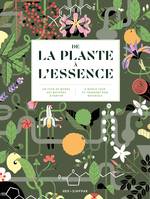 De la plante à l'essence, Un tour du monde des matières à parfum