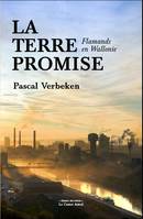 La Terre promise - Flamands en Wallonie, Flamands en Wallonie