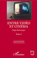 Entre vidéo et cinéma, Neige électronique - (Tome 2)