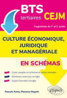 BTS tertiaires - CEJM en schémas, Culture économique, juridique et managériale