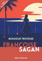 Bonjour Tristesse, Roman