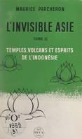 L'invisible Asie (3). Temples, volcans et esprits de l'Indonésie