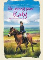 3, Un poney pour Katy - Tome 3, Une belle surprise