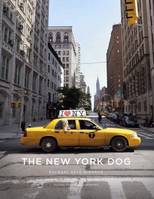 NEW YORK DOGS