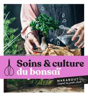 Soins et culture du bonsaï