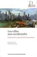 Les villes non occidentales, Comprendre les enjeux de la diversité urbaine