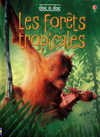 LES FORETS TROPICALES