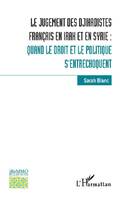 Le jugement des djihadistes français en Irak et en Syrie, Quand le droit et le politique s'entrechoquent