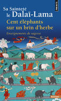 Cent éléphants sur un brin d'herbe, Enseignements de sagesse