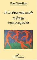 DE LA DÉMOCRATIE SOCIALE EN France, Le pain, le sang, le droit