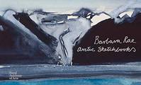 Barbara Rae Arctic Sketchbooks /anglais