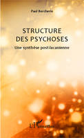 Structure des psychoses, Une synthèse post-lacanienne