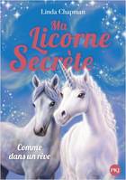 2, Ma licorne secrète - tome 2 Comme dans un rêve