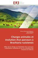 Charges animales et évolution d'un parcours à Brachiaria ruziziensis, Effets de la charge sur l'évolution d'un parcours à Brachiaria ruziziensis et sur la croissance des