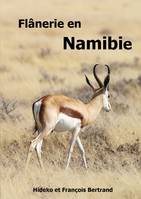 Flגnerie en Namibie