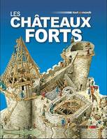 Châteaux forts