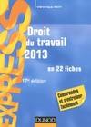 Droit du travail 2013 - 17e éd. - en 22 fiches, en 22 fiches