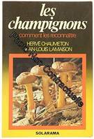 Les champignons, comment les reconnaître