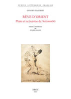 Rêve d'Orient, Plans et scénarios de salammbô