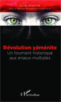 Révolution yéménite, Un tournant historique aux enjeux multiples