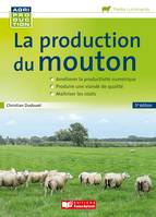 La production du mouton