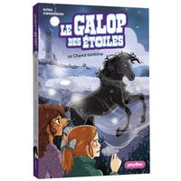 12, Le Galop des Étoiles - Le cheval fantôme - Tome 12