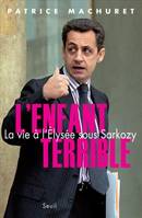 L'Enfant terrible, La vie à l'Elysée sous Sarkozy