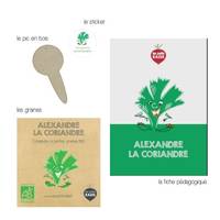 Alexandre la coriandre (mini kit de graines bio)