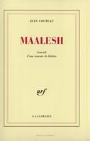 Maalesh, Journal d'une tournée de théâtre