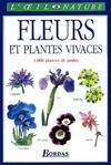 Fleurs et plantes vivaces