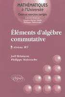 Eléments d'algèbre commutative - Niveau M1, niveau M1