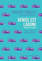 Venise est lagune, Un récit polémique