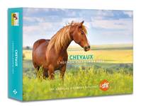 Agenda - Calendrier Chevaux 2025