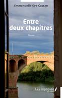 Entre deux chapitres, Roman