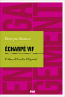 Echarpé vif, Notes de voyage en politique d'un élu de la Ve République