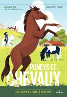 Poneys et chevaux