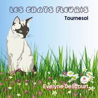 Les chats fleuris, Tournesol