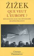 Que veut l'Europe ?, Réflexions sur une nécessaire réappropriation