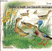 Les canards sauvages - collection animaux en famille