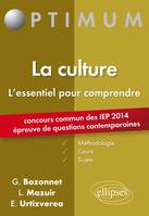 Epreuve de Questions contemporaines à l’entrée des IEP - concours 2014. La culture, l'essentiel pour comprendre