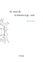 LES MURS DE LA MAISON SE GRISENT