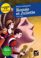 Roméo et Juliette, William Shakespeare, avec un groupement thématique « La mort tragique des amants »