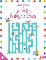 50 défis labyrinthes