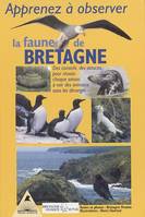 Apprenez à observer la faune de Bretagne - des conseils, des astuces, pour réussir chaque saison à voir des animaux sans les déranger, des conseils, des astuces, pour réussir chaque saison à voir des animaux sans les déranger