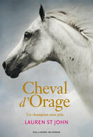 1, Cheval d'orage / Un champion sans prix, Un champion sans prix