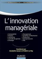 L'innovation managériale, Comptabilité Finance Marketing Contrôle Stratégie Management SI Production Entrepreneuriat RSE