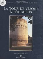 La tour de Vésone à Périgueux, Temple de Vesunna Petrucoriorum