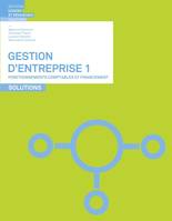 Gestion d'entreprise 1, Fonctionnements comptables et financement - solutions